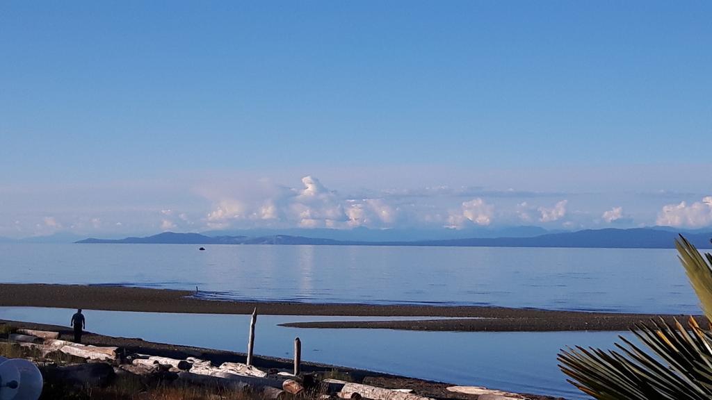 Buena Vista By The Sea Hotel Qualicum Beach Exterior photo